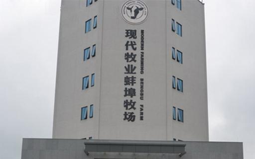 現代牧業